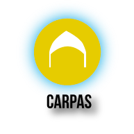 RENTA DE CARPAS EN CUERNAVACA MORELOS